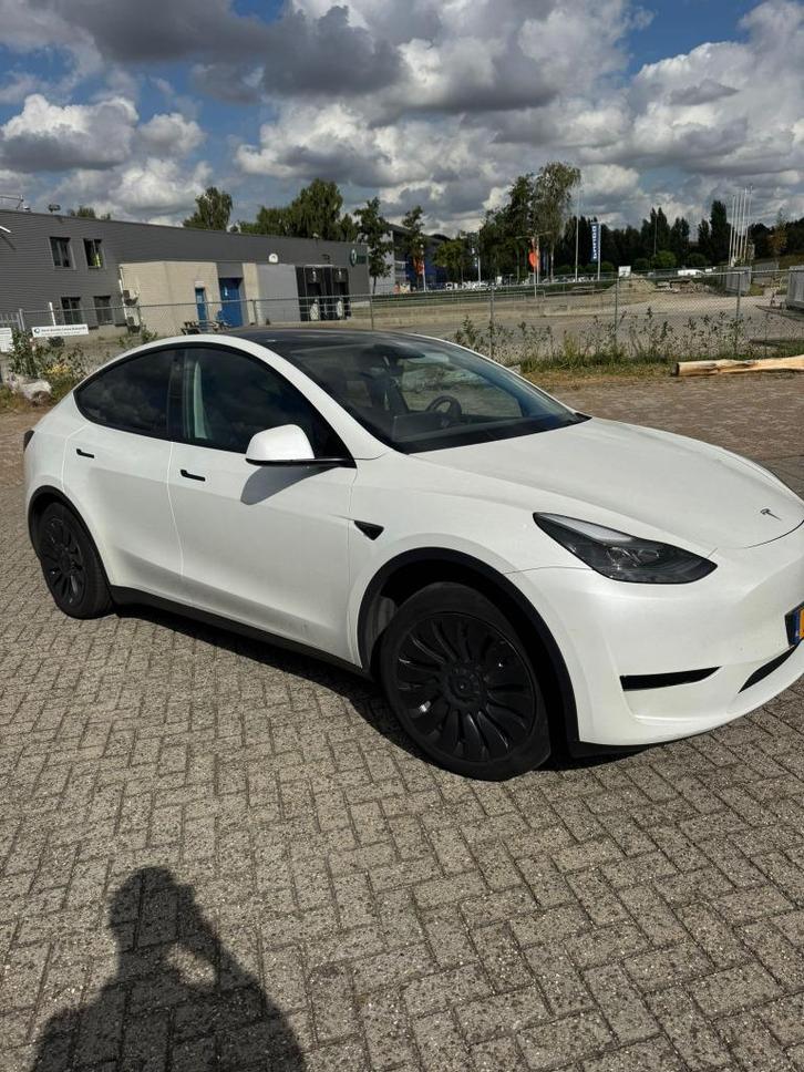 Tesla Model Y 2023 Wit, Auto's, Tesla, Particulier, Model Y, 360° camera, Achteruitrijcamera, Adaptieve lichten, Adaptive Cruise Control