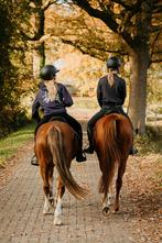 Verzorgpony gezocht, Ophalen of Verzenden, Nieuw