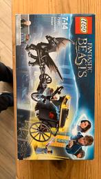 Lego Fantastic Beasts nr 75951 Grindelwald’s Escape, Kinderen en Baby's, Speelgoed | Duplo en Lego, Nieuw, Ophalen