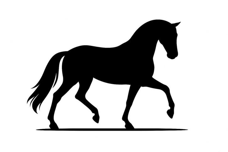 Gezocht pensionstal, Dieren en Toebehoren, Stalling en Weidegang