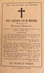 Anna Catharina van de Moosdijk Waalre 1863, Ophalen of Verzenden
