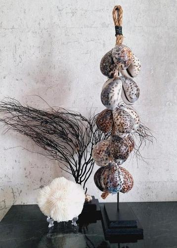 Zeegras waaier schelpenketting ornament op voet bruin wit beschikbaar voor biedingen