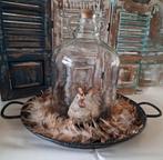 Paasdecoratie: Stolp, Kip, Krans & Onderbord - Landelijke, Ophalen, Gebruikt