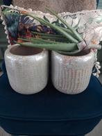 2 stuks trendy parelmoer plantenpotten, Rond, Nieuw, Ophalen of Verzenden, Minder dan 25 cm