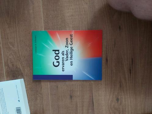 God ervaren als Vader, Zoon en Heilige Geest, Boeken, Godsdienst en Theologie, Zo goed als nieuw, Ophalen of Verzenden