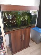 Juwel Rio 125, Dieren en Toebehoren, Vissen | Aquaria en Toebehoren, Ophalen, Gebruikt, Gevuld zoetwateraquarium