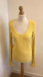 Fabienne Chapot maat L gele Ida pullover trui 935