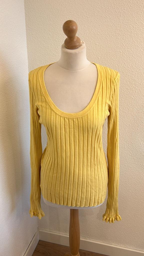 Fabienne Chapot maat L gele Ida pullover trui 935, Kleding | Dames, Truien en Vesten, Zo goed als nieuw, Maat 42/44 (L), Geel
