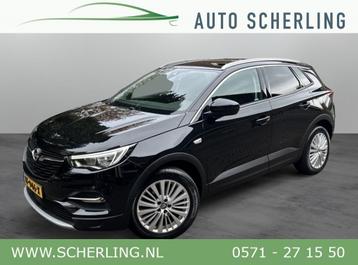 Opel Grandland X 1.2 Turbo 130pk Leder, Camera, Trekhaak, 1e beschikbaar voor biedingen