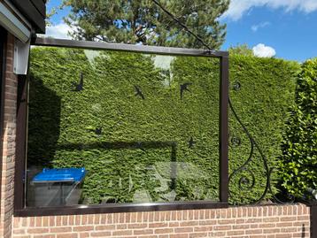 Glazen windscherm/tuinscherm beschikbaar voor biedingen
