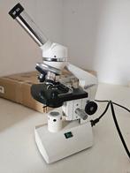 Euromex microscoop, Ophalen of Verzenden, Zo goed als nieuw, Minder dan 400x