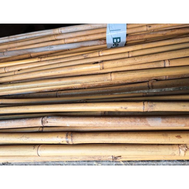 Bundel 25 bamboestokken snijbonenstokken 210 cm, Tuin en Terras, Kweekspullen, Nieuw, Ophalen