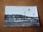 VOORTHUIZEN  >  CAMPING EN BUNGALOWPARK ACKERSATE, Verzamelen, Ansichtkaarten | Nederland, Verzenden, 1940 tot 1960, Ongelopen