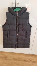 Bijna nieuwe zwarte bodywarmer, Ophalen of Verzenden, Zo goed als nieuw, Maat 42/44 (L), Zwart