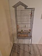 2 jonge Tamme parkieten met kooi, Ophalen, Zo goed als nieuw, Metaal, Vogelkooi
