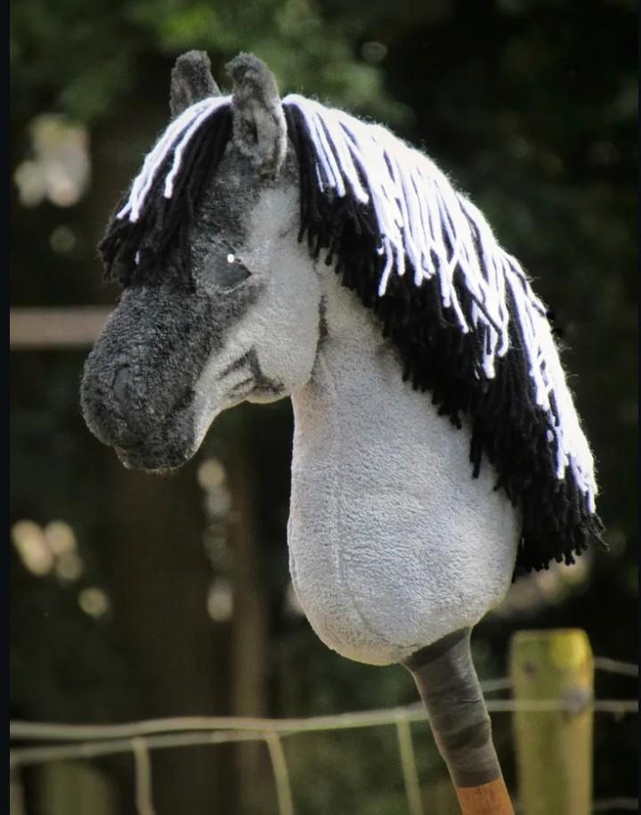 Hobbyhorse / Stokpaard, Hobby en Vrije tijd, Overige Hobby en Vrije tijd, Nieuw, Ophalen of Verzenden