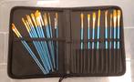 Etui met Penselen, Ophalen of Verzenden, Penseel of Kwast