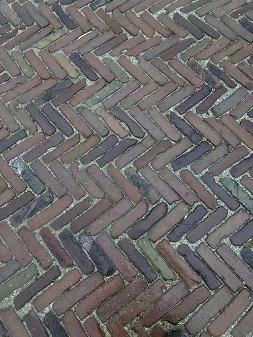 Waalformaat bont genuanceerd (P46), Tuin en Terras, Tegels en Klinkers, Gebruikt, Klinkers, Overige materialen, 10 m² of meer