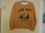 goede dames sweater trui. Maat L, Ophalen of Verzenden, Gedragen, Maat 42/44 (L)