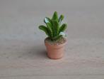 Piepklein plantje in terracotta potje., Ophalen of Verzenden, Nieuw, Gebruiksvoorwerp