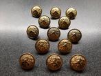 13 stuks  oude Leeuw knopen. Van  22 mm.rond/ Nederland, Verzamelen, Ophalen of Verzenden, Nederland, Embleem of Badge