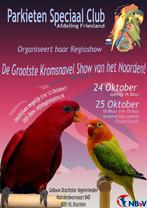 Grootste kromsnavelshow van het noorden, Dieren en Toebehoren, Meerdere dieren, Parkiet