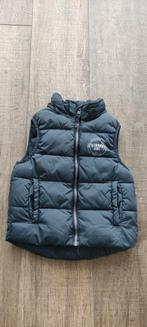 Bodywarmer maat 116, Kinderen en Baby's, Kinderkleding | Maat 116, Ophalen of Verzenden, Gebruikt, Jas
