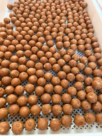Budget krill beschikbaar voor biedingen