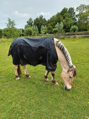 Te koop Nika regen/vliegendeken met hals beschikbaar voor biedingen