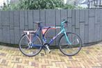 Giant Escaper Vintage Mountainbike, Ophalen, Gebruikt, Heren, 49 tot 53 cm