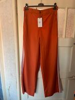 Mooie nieuwe broek maat L Ambika, Ophalen of Verzenden, Nieuw, Lang