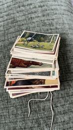 Verkade plaatjes, Ophalen of Verzenden, Gelezen, Plaatjesalbum
