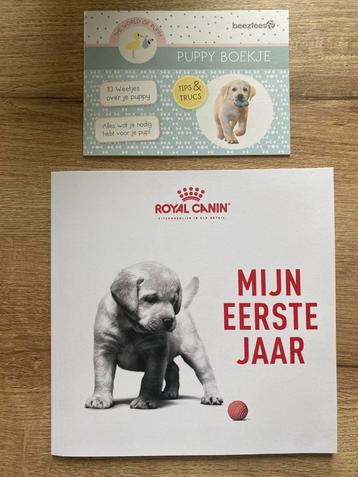 Twee puppyboekjes beschikbaar voor biedingen