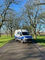 Volledig ingerichte mobile hondentrimsalon