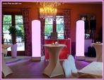 Drive-inshow bruiloft-feest dj en karaoke show €80 per uur., Ophalen of Verzenden, Nieuw, Geboorte of Huwelijk
