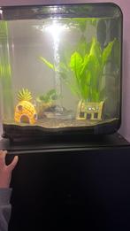 Aquarium biorb, Dieren en Toebehoren, Vissen | Aquaria en Toebehoren, Ophalen, Gebruikt, Leeg aquarium