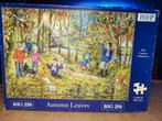 HOP puzzel Big 250 stukjes, Ophalen of Verzenden, Minder dan 500 stukjes, Zo goed als nieuw, Legpuzzel