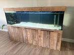 Exclusieve ombouw aquarium 2 meter., Ophalen, Gebruikt, Gevuld zoetwateraquarium
