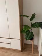 2x IKEA FEJKA Monstera Kunstplant 19cm, Ophalen, Overige soorten, Halfschaduw, In pot
