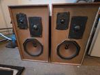 Vintage Hi Lo MK3 Speakers - Zeldzaam!, Ophalen, Gebruikt, Overige typen