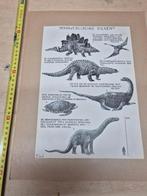 2x tekening Oostindische inkt F.Smits Dinosaurus etc, Ophalen of Verzenden