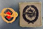 KL Luchtverdedigingssystemen DT+gvt, Ophalen of Verzenden, Landmacht, Nederland, Embleem of Badge