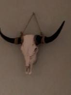 Buffel schedel wanddecoratie skull, Ophalen, Zo goed als nieuw