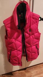 Gewatteerde bodywarmer Falcon maat S, Kleding | Dames, Bodywarmers, Falcon, Ophalen of Verzenden, Zo goed als nieuw, Maat 36 (S)