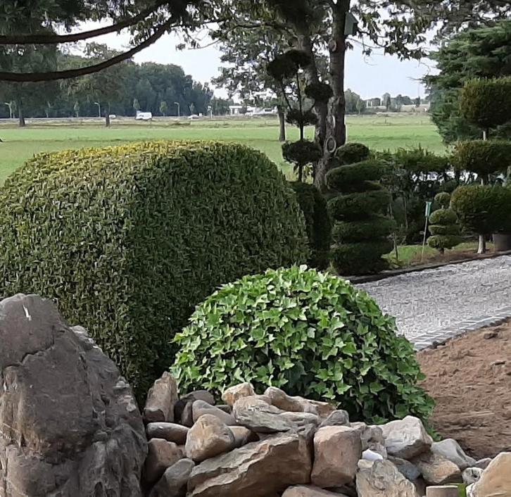 Tuinman aangeboden, Diensten en Vakmensen, Tuinmannen en Stratenmakers, Bestrating, Hekwerk of Schuttingen, Tuin- of Vijveraanleg