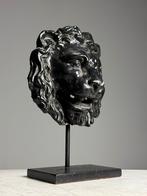 Terra Cotta Leeuwenkop fontein masker, Ophalen