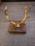 Rendier gewei, Ophalen of Verzenden, Nieuw