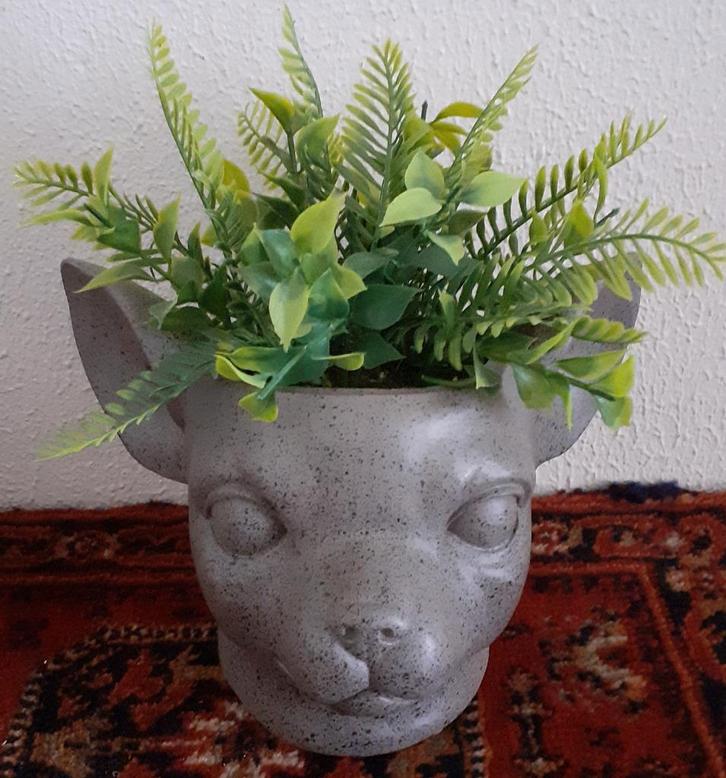 Chihuahua plantenbak/pot., Verzamelen, Overige Verzamelen, Zo goed als nieuw, Ophalen