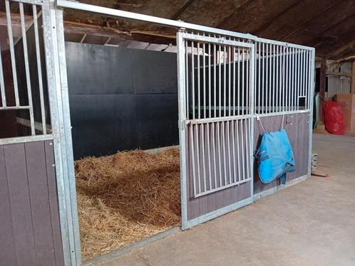 Per direct plek vrij, Dieren en Toebehoren, Stalling en Weidegang, Opfok, 2 of 3 paarden of pony's