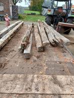 Eiken palen, gebinten balken, Doe-het-zelf en Verbouw, Hout en Planken, Gebruikt, Eiken, Ophalen of Verzenden, 250 tot 300 cm